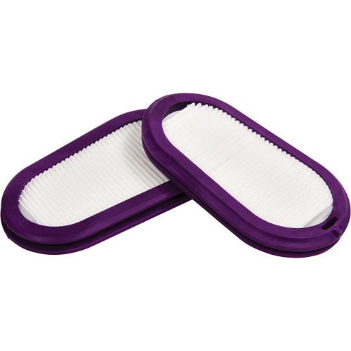 Filtres de remplacement, Filtre contre les particules, Filtre P100 Dufferin Supply