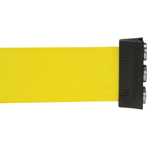 Wall Mount Barrier with Magnetic Tape, Steel, Screw Mount, 12', Yellow Tape Dufferin Supply