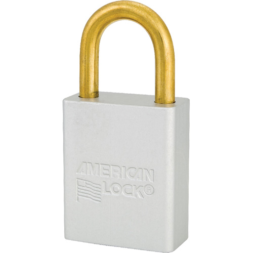 Cadenas de s&eacute;curit&eacute; American Lock, Transparent, Cl&eacute;s identiques, Aluminium, Largeur de 1-1/2" Dufferin Supply