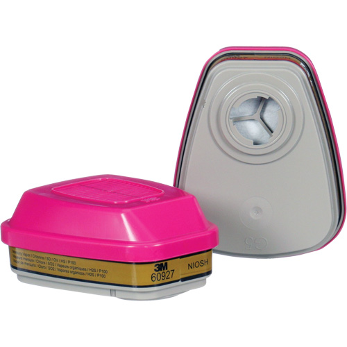 Cartouche, Combinaison cartouche et filtre contre les particules pour gaz/vapeurs, Gaz multiples/Vapeurs/P100 Dufferin Supply