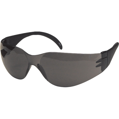 CeeTec Safety Glasses, Grey Lens, Anti-Scratch, Meets/Exceeds CSA Z94.3 Dufferin Supply