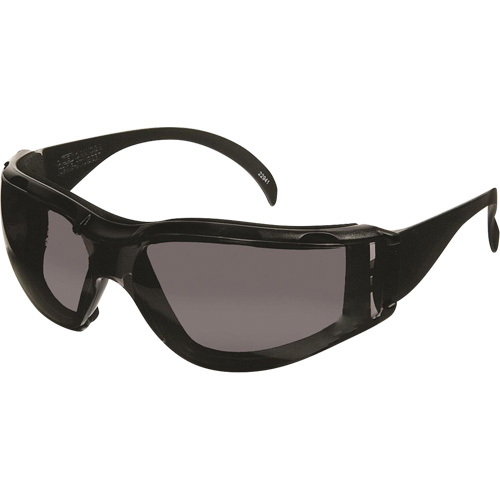 CeeTec DX Safety Glasses, Grey Lens, Anti-Fog/Anti-Scratch, Meets/Exceeds CSA Z94.3 Dufferin Supply