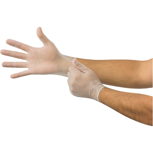 MicroFlex&reg; Disposable Gloves, Small, Vinyl, 2.8-mil, Powder-Free, Clear Dufferin Supply