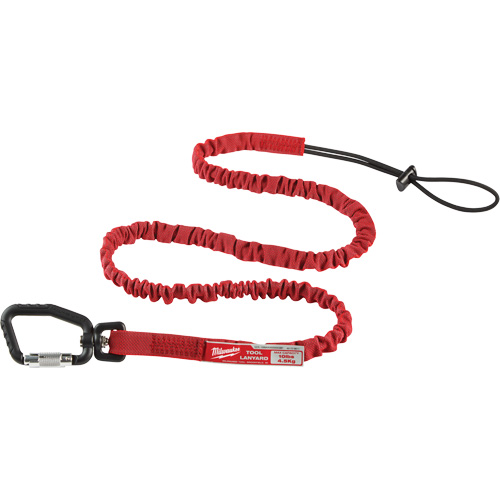 Extended Reach Locking Tool Lanyard, Bungee, Carabiner/Loop Dufferin Supply