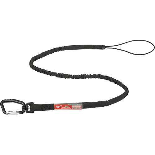 Longe verrouillable pour outils &agrave; port&eacute;e &eacute;tendue, Tendeur, Mousqueton/boucle Dufferin Supply