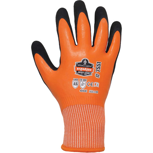 Gants de travail enduits et r&eacute;sistant &agrave; la coupe pour l'hiver ProFlex 7551, Taille Petit, Calibre 10/13, Rev&ecirc;tement Nitrile/Latex de caoutchouc, Enveloppe en PEHP, ASTM ANSI niveau A5/EN 388 niveau E Dufferin Supply