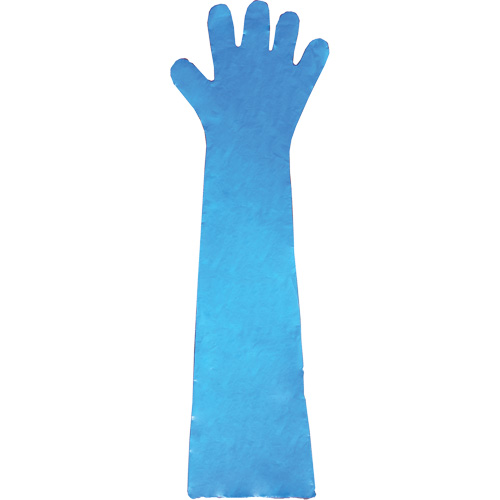 Disposable Gloves, Polyethylene, Powder-Free, Blue Dufferin Supply