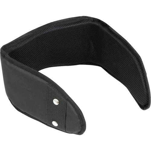 WB-6006 Padded Lumbar Support for Belt - Universal Dufferin Supply