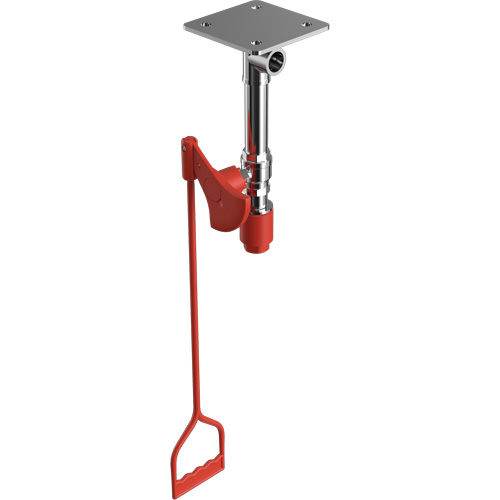 Drench Shower, Ceiling-Mount Dufferin Supply