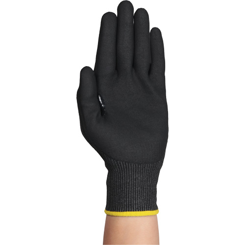 Gants r&eacute;sistants &agrave; la coupe HYFLEX 11-594, Taille 12/3T-Grand, Calibre 18, Rev&ecirc;tement Nitrile, Enveloppe en PEHP/Intercept, ASTM ANSI niveau A9/EN 388 niveau F Dufferin Supply