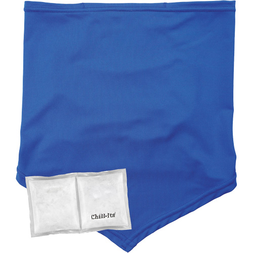 Chill-Its 6482 Cooling Neck Gaiter Bandana with Rechargeable Phase Change Packs,  Large/X-Large, Blue Dufferin Supply