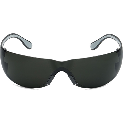 Lunettes de s&eacute;curit&eacute; Adapt Lite, Lentille Fum&eacute;e, Antibu&eacute;e/Anti-&eacute;gratignures, ANSI Z87+/R&eacute;pond ou surpasse la norme CSA Z94.3 Dufferin Supply