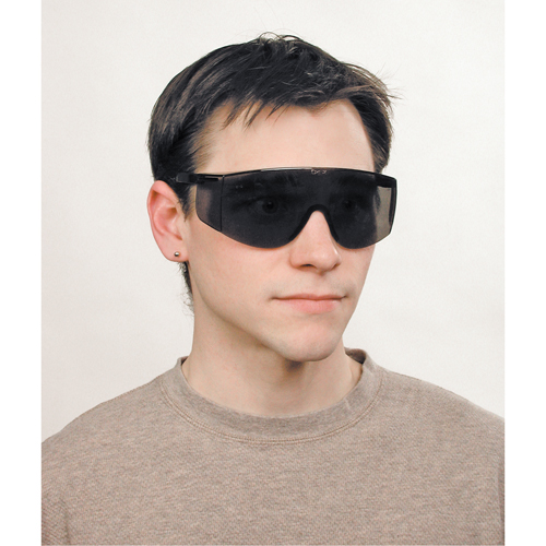 Tacoma&reg; Safety Glasses, Grey/Smoke Lens, Anti-Scratch, ANSI Z87+ Dufferin Supply