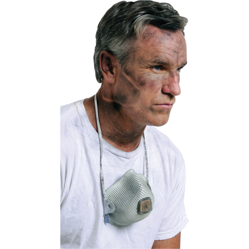 2700 Particulate Respirators, N95, NIOSH Certified, Large/Medium Dufferin Supply