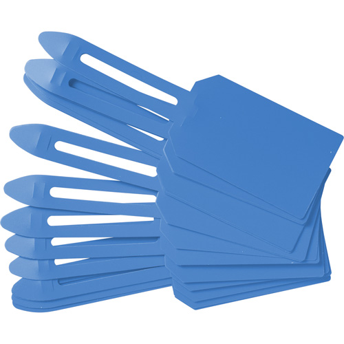 Blank Plastic Lock-On Tags, Plastic, 3-1/4" W x 5-4/5" H, Blank Dufferin Supply