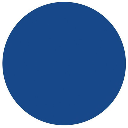 Round Write-On Labels, Circle, 1.5" L x 1.5" W, Blue Dufferin Supply