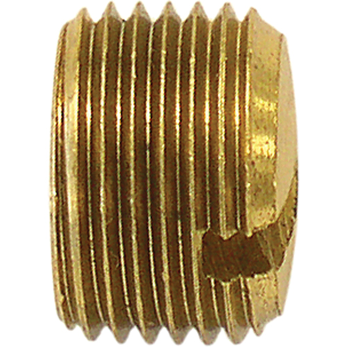 Bouchon de tuyau (avec fentes), 1/8" dia., Laiton Dufferin Supply