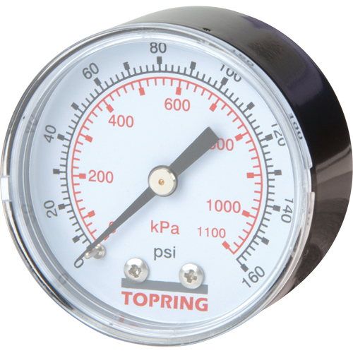 Mini Regulators - Replacement Gauge, 2" , 0 - 160 psi, Back Mount, Analogue Dufferin Supply