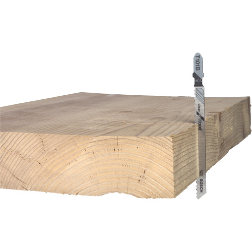 Lame de scie alternative pour la coupe du bois, Acier &agrave; haute teneur en carbone, Tige en T, 4" lo, 10 dents par pouce Dufferin Supply