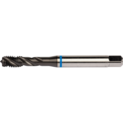 Blue Shark Spiral Flute Tap, High Speed Cobalt, 1/4"-28 Thread, 3.15" L Dufferin Supply