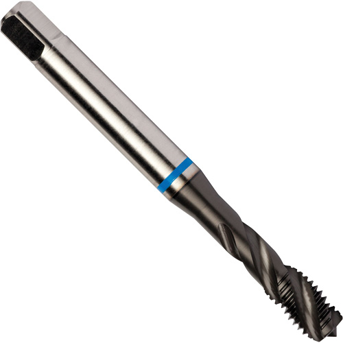 Blue Shark Spiral Flute Tap, High Speed Cobalt, 1/4"-28 Thread, 3.15" L Dufferin Supply