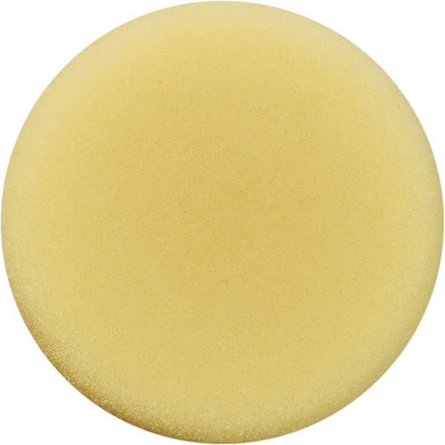 Polishing Pad, 3" Dia. Dufferin Supply