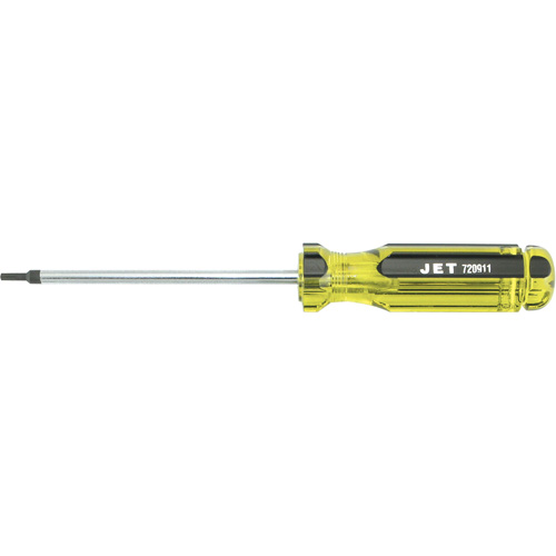 Tournevis avec manche g&eacute;ante TORX Dufferin Supply