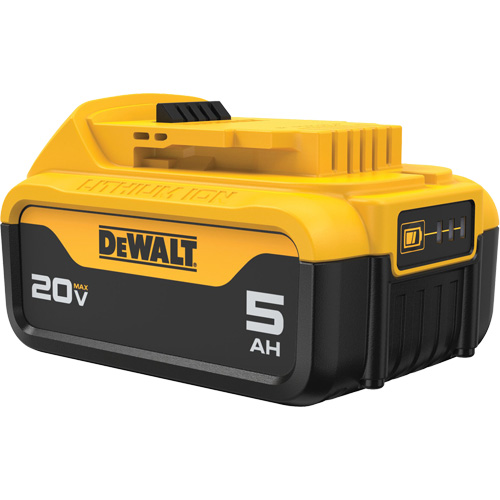 Bloc-piles Max XR Premium, Lithium-ion, 20 V, 5 A Dufferin Supply