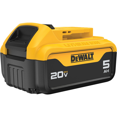 Bloc-piles Max XR Premium, Lithium-ion, 20 V, 5 A Dufferin Supply