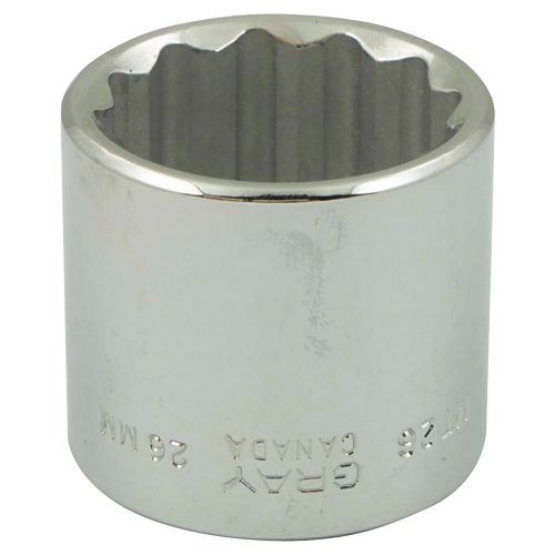 Douille, 6 mm, Prise 3/8", 12 pans Dufferin Supply