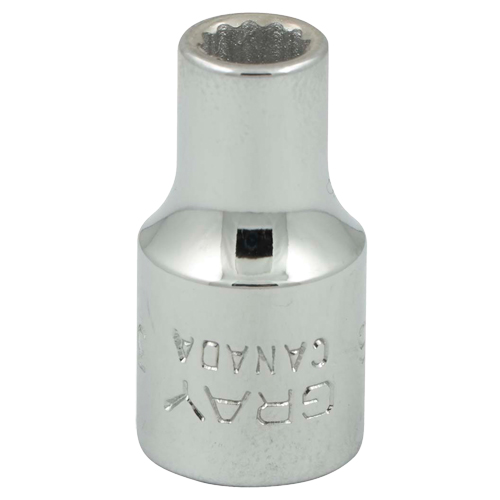 Socket, 3/16", 1/4" Drive, 12 Points Dufferin Supply