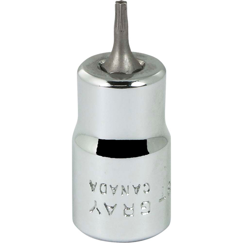 Bit Socket, Torx&reg;, T8 x 2-1/8" L, 3/8" Drive Dufferin Supply