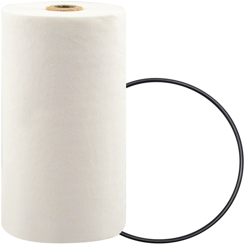 P7247 Filtre pour liquide de refroidissement &agrave; visser avec additif BTE Dufferin Supply