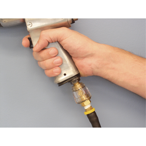 Lubricators - Standard Duty, 1/4" NPT, Max. 120 PSI, In Line Dufferin Supply