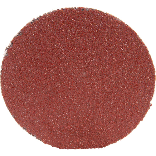 Roloc Disc 361F, 1-1/2" Dia., P100 Grit, Aluminum Oxide Dufferin Supply