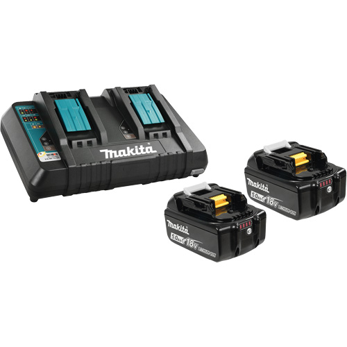 Ensemble de batterie au lithium-ion & chargeur &agrave; double port, 18 V, Lithium-ion Dufferin Supply