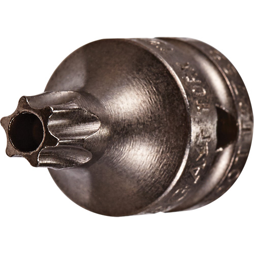 Embout &agrave; ins&eacute;rer, Torx inviolable, 8 x 3/4" lo, Prise 1/4" Dufferin Supply