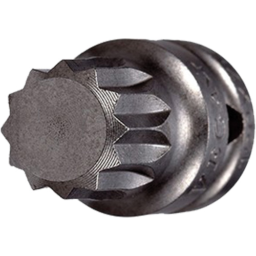 Embout &agrave; ins&eacute;rer, Triple carr&eacute;, 5 x 3/4" lo, Prise 1/4" Dufferin Supply