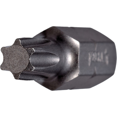 Bull Nose Insert Bit, Torx, 50, 1/4" Drive Dufferin Supply