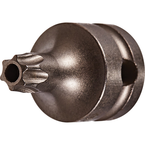 Embout &agrave; ins&eacute;rer, Torx inviolable, 25 x 1" lo, Prise 3/8" Dufferin Supply