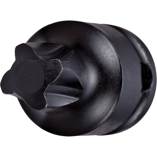 Socket Bit, Mortorq&reg; Super, 4 x 1-1/4" L, 3/8" Drive Dufferin Supply