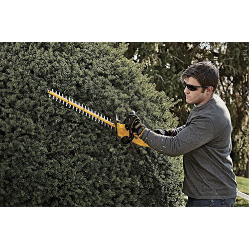 Taille-haie sans fil Max, 22", 20 V, &agrave; pile Dufferin Supply