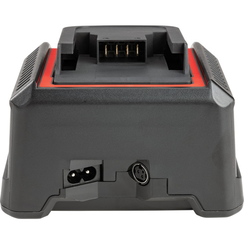Chargeur de batterie 2,5 Ah et 5,0 Ah, 120 V, Lithium-ion Dufferin Supply