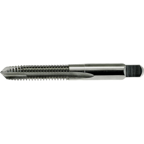 Taraud &agrave; pointe spiral&eacute;e surdimensionn&eacute;e Nitro Drillco, Acier rapide, Filet de 3/8"-16 Dufferin Supply