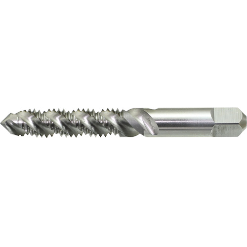 Taraud &agrave; main &agrave; cannelure spiral&eacute;e Drillco, Acier rapide, Filet 1/4"-20 Dufferin Supply