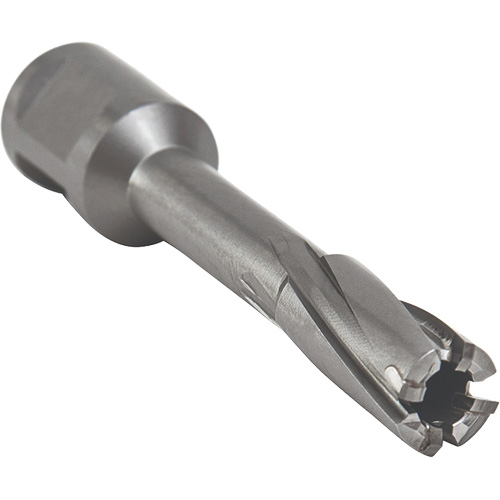 Core Cut Annular Cutter with Weldon Shank, 12 mm Diameter, Carbide, 55 mm Depth of Cut, 3/4" Shank Dufferin Supply