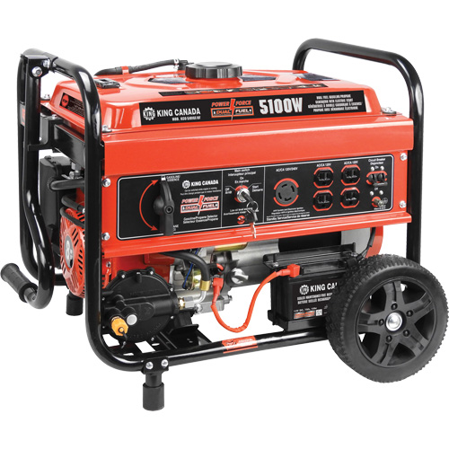 G&eacute;n&eacute;ratrice &agrave; essence/au propane &agrave; d&eacute;marreur &eacute;lectrique Dufferin Supply