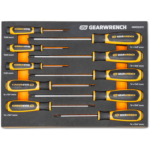 Jeu de tournevis bimat&eacute;riau Torx dans un plateau de rangement en mousse, 10 mcx Dufferin Supply