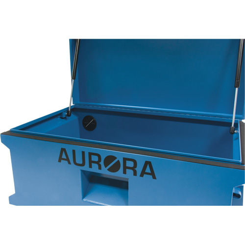 Coffre &agrave; outils de chantier, 33" x 20-3/10" x 18-3/10", Acier, Bleu Dufferin Supply