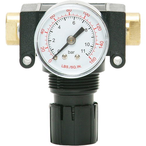 MODULAIR 200 Acetal Piston Regulator, 1/4" NPT, 150 PSI Max. PSI, In Line/Modular Dufferin Supply